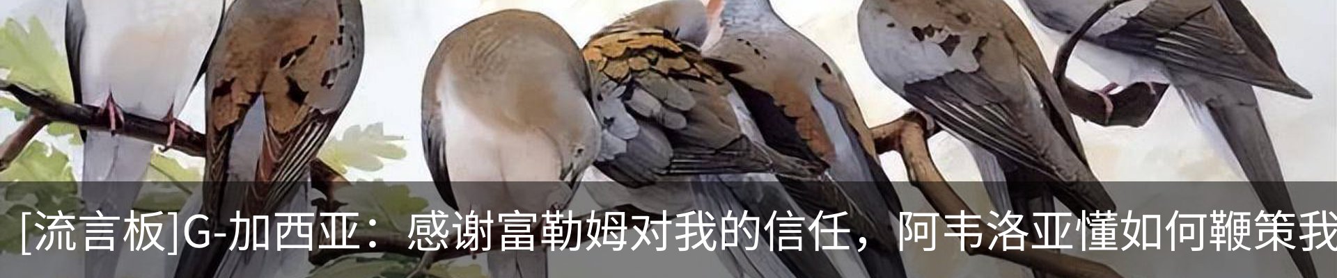 内页banner